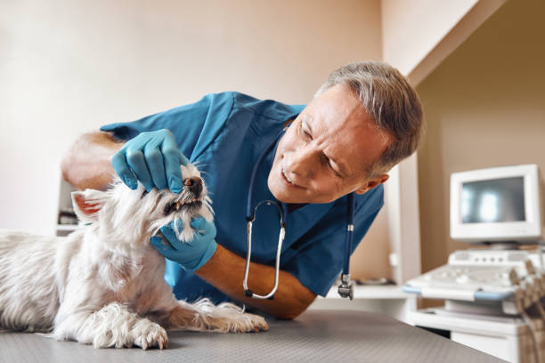 Best Dental Abscess Treatment in Dillon, SC